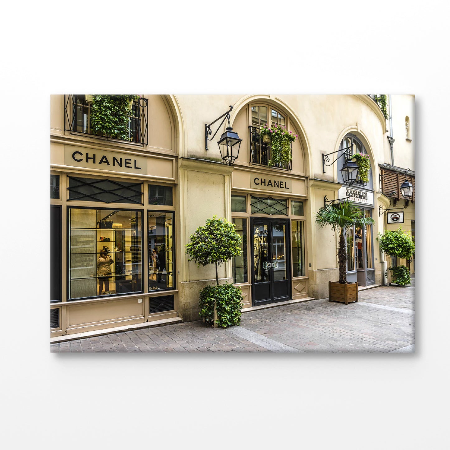 Luxury Fashion Store with Green Plants Print Canvas Ready to hang