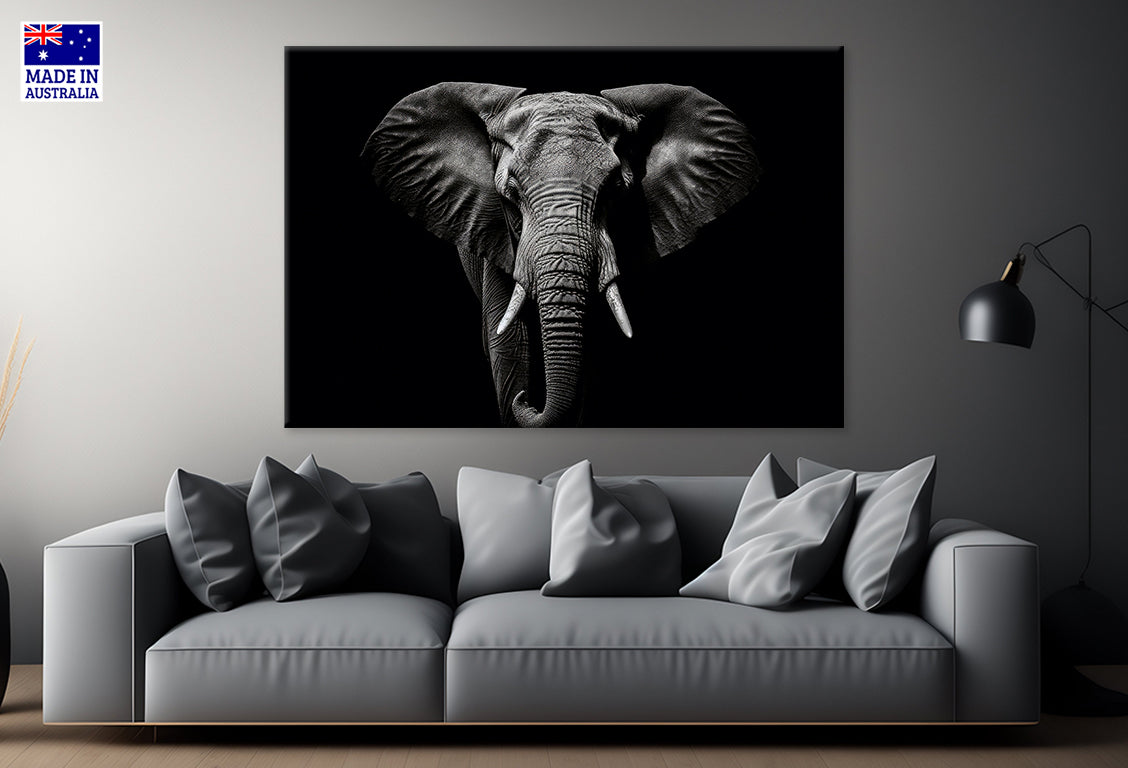 Elephant Isolated on Black Portrait Wildlife Animal Wall Art Decor 100% Australian Made