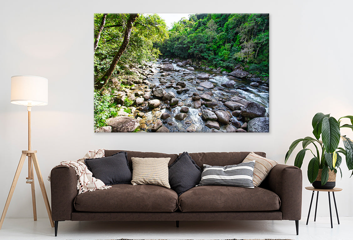 Daintree Rainforest Queensland Mossman Gorge Wall Art Decor 100% Australian Made