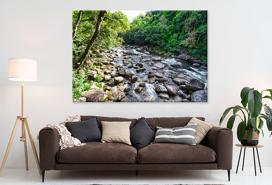 Daintree Rainforest Queensland Mossman Gorge Wall Art Decor 100% Australian Made