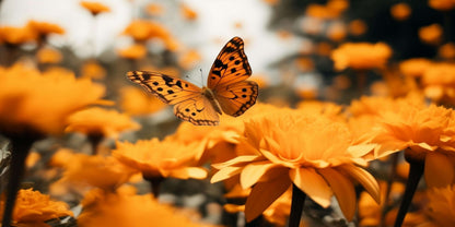 Orange Butterfly Flower Garden Wall Art Canvas Office Home Framed 120x60cm