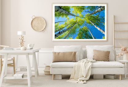 Fresh Green Birch Tree with Natural Blue Sky Home Decor Premium Quality Poster Print Choose Your Sizes