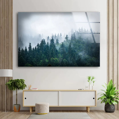 Misty Forest Photograph UV Direct Aluminum Print Australian Made Quality