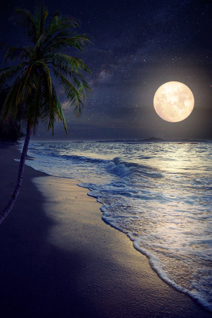 Tropical Beach with Milky Way Moon in Night Photograph Glass Framed Wall Art, Ready to Hang Quality Print