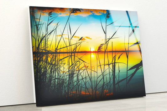 Grass Near Lake Sunset UV Direct Aluminum Print Australian Made Quality