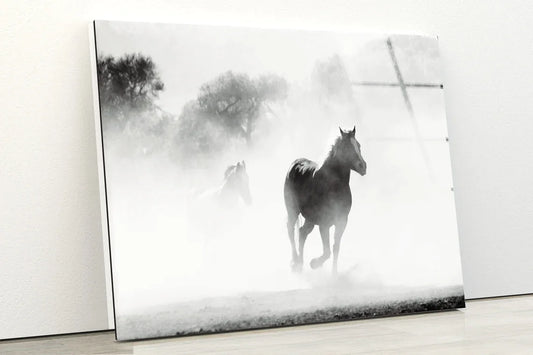Running Horse Misty UV Direct Aluminum Print Australian Made Quality