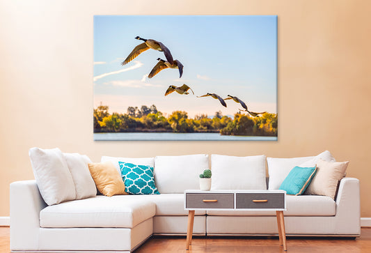 Flock of Canadian Geese Flying Wall Art Decor 100% Australian Made - Bella Home Decor