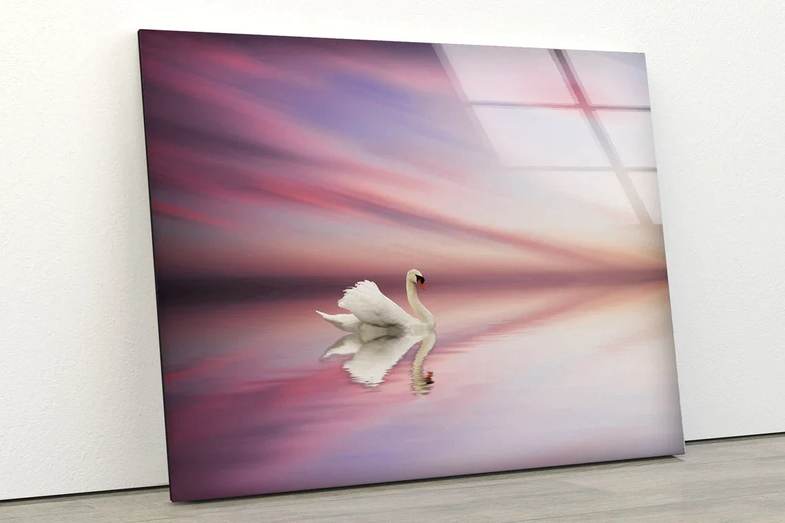 Swan on Lake Sunset UV Direct Aluminum Print Australian Made Quality