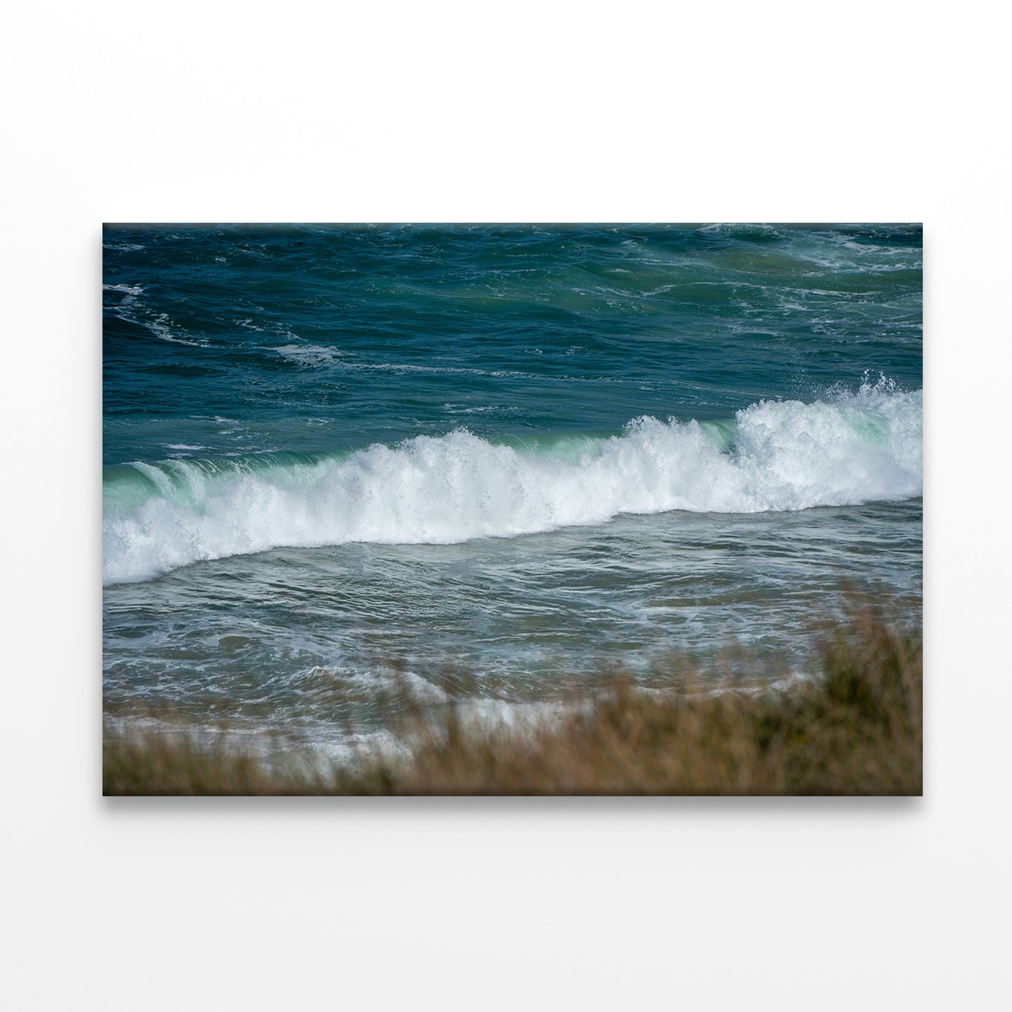 Phillip Island Victoria Spring Seashore Wall Art Decor 100% Australian Made