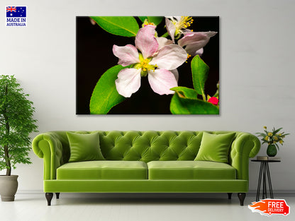 Beautiful Bloomed Apple Flowers Print 100% Australian Made - Bella Home Decor