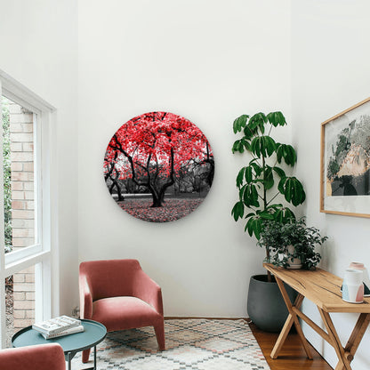 Red Flower Tree Black and White Forest Acrylic Glass Rounded Print Tempered Glass Wall Art 100% Made in Australia Ready to Hang