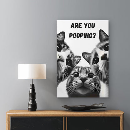 Three Wide-Eyed Cats with The Text ARE YOU POO 40x60cm Metal Print Ready to Hang - Bella Home Decor