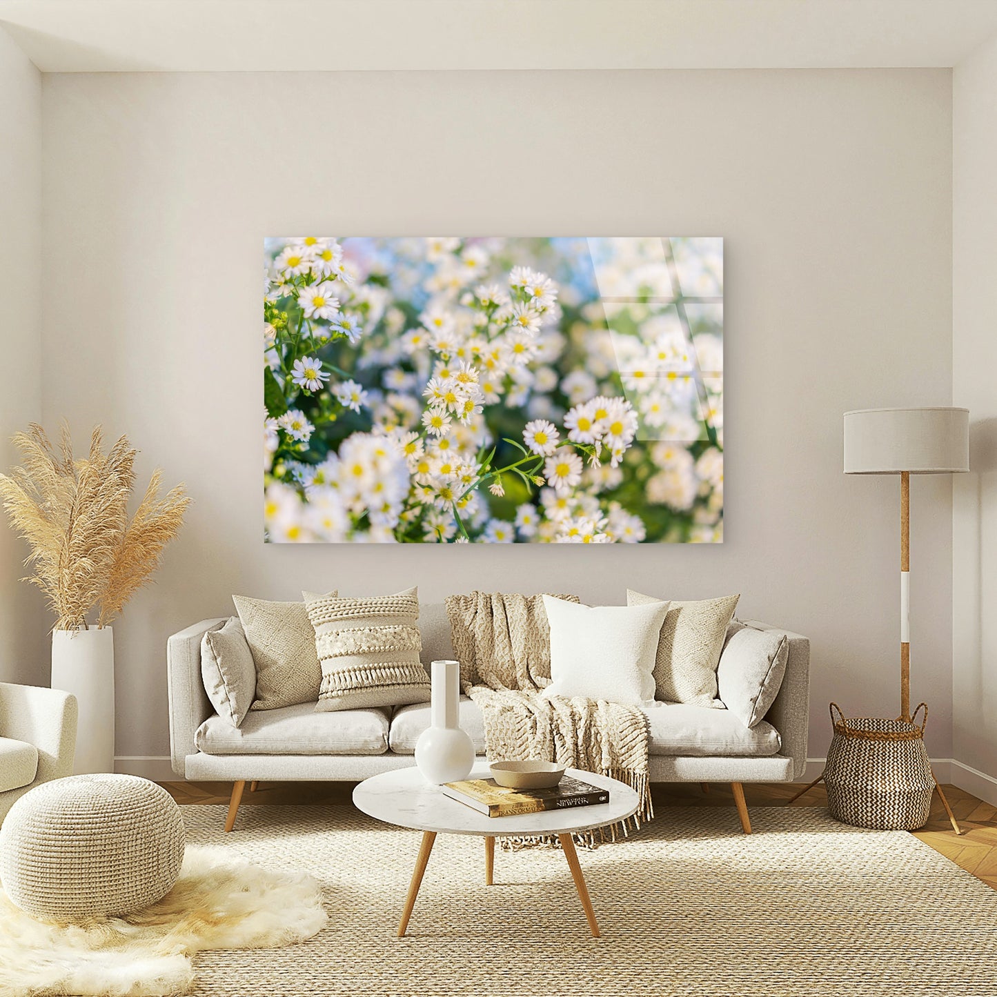 Delicate White Daisies Blooming in Spring Sunlight Nature Floral Acrylic Glass Printing Wall Art Australian Made Quality