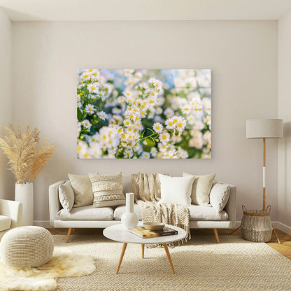 Delicate White Daisies Blooming in Spring Sunlight Nature Floral Acrylic Glass Printing Wall Art Australian Made Quality