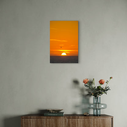A Bird Flying Over the Ocean at Sunset 40x60cm Metal Print Ready to Hang