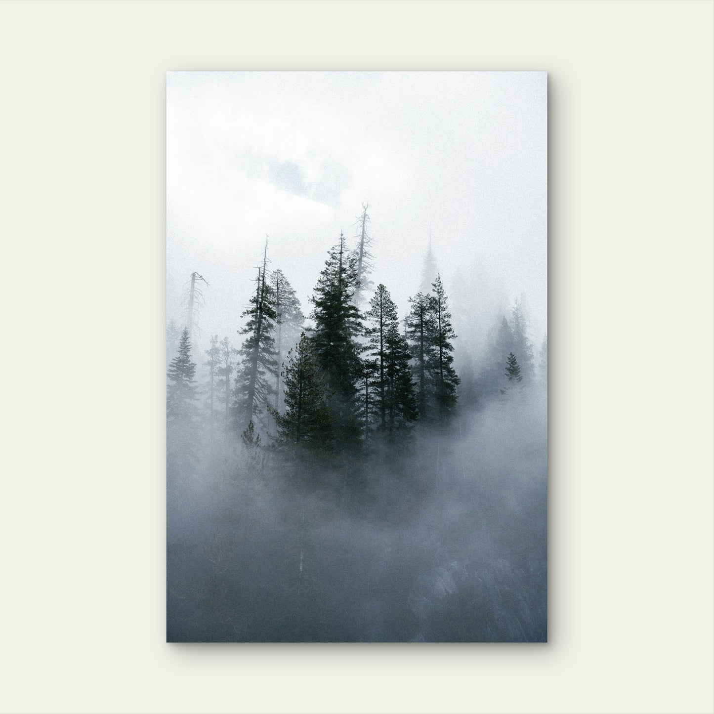 Misty Evergreen Woods 40x60cm Metal Print Ready to Hang