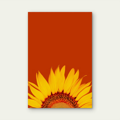 Yellow sunflower in close up photography 60x90cm Metal Print Ready to Hang