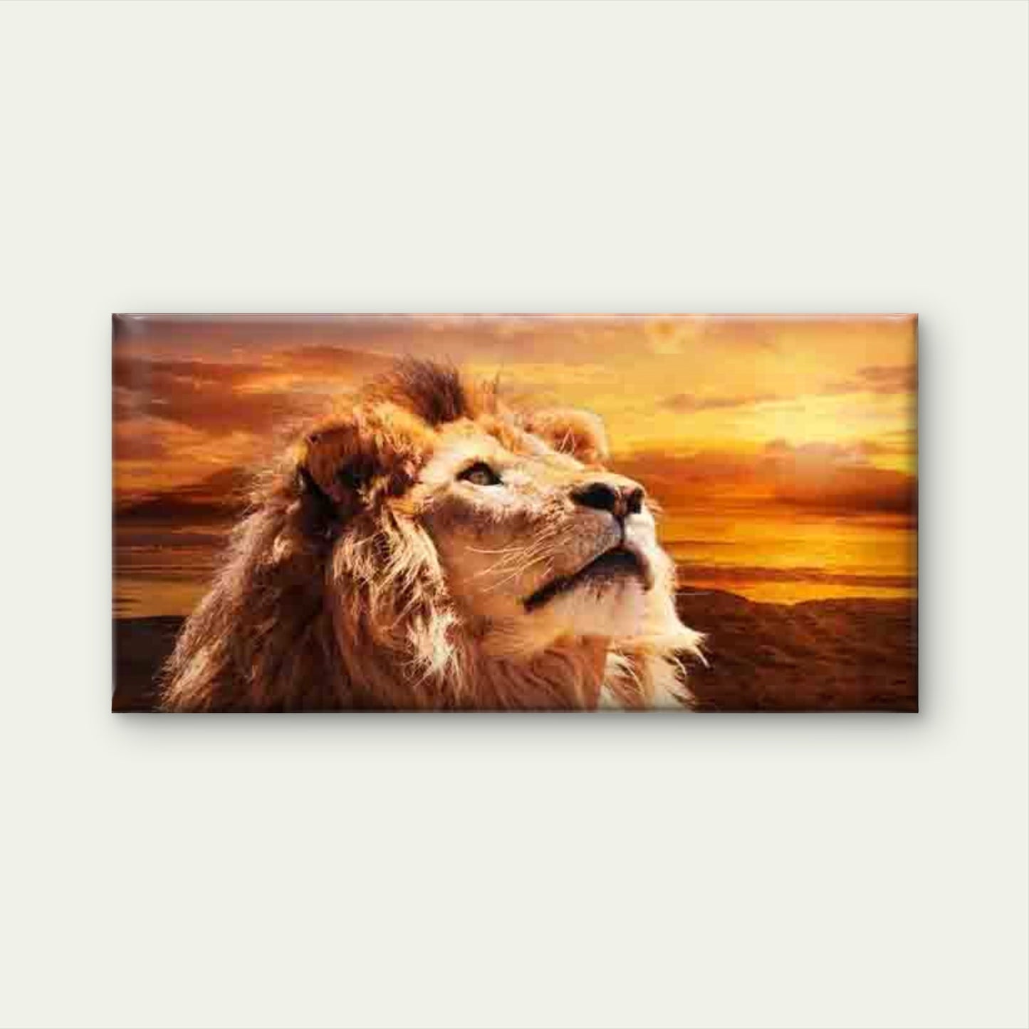 Majestic Lion Gazing at Sunset Wall Art Canvas Office Home Room Framed 120x60cm