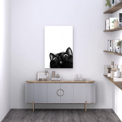 Playful Black Cat On White Background Metal Print Ready to Hang
