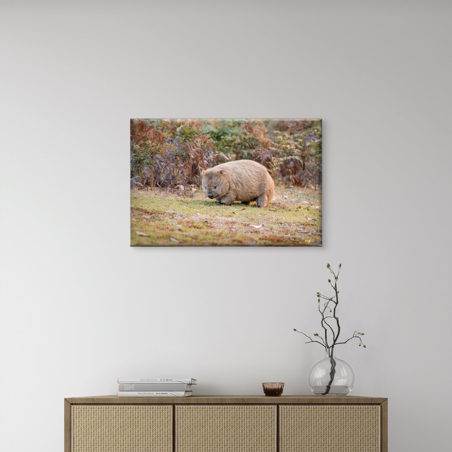 Common Wombat Navigating the Bushlands of Narawntapu National Park, Tasmania Wall Art Decor 100% Australian Made