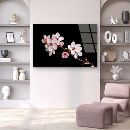 Cherry Blossom Pink Flower Branch   Acrylic Glass Printing Wall Art Australian Made Quality