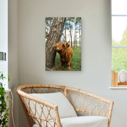 Highland Cow Near Tree 60x90cm Metal Print Ready to Hang
