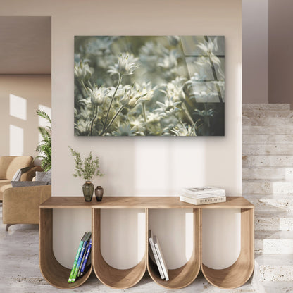 White Flannel Flowers Native Flora Glass Printing Wall Art Australian Made