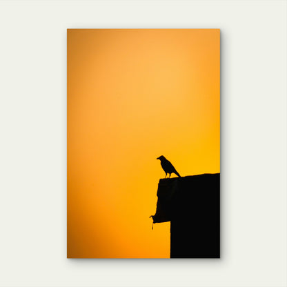 Silhouette Of A Crow Perched During Sunset 40x60cm Metal Print Ready to Hang