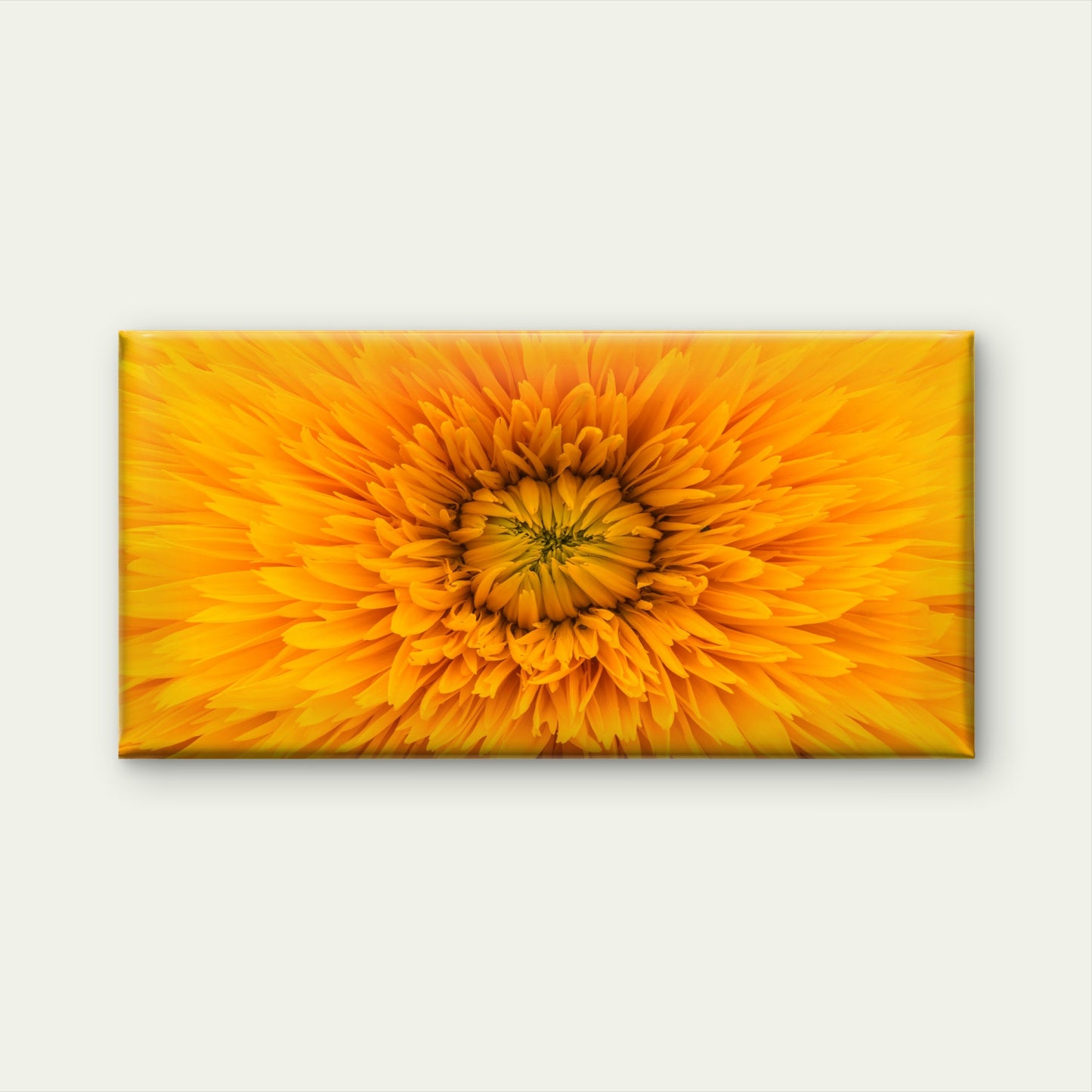 Vibrant Yellow Flower Bloom Wall Art Canvas Office Home Room Framed 120x60cm