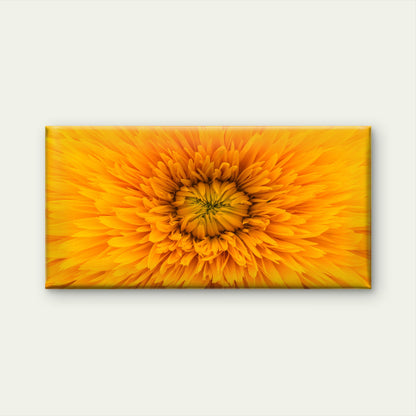 Vibrant Yellow Flower Bloom Wall Art Canvas Office Home Room Framed 120x60cm