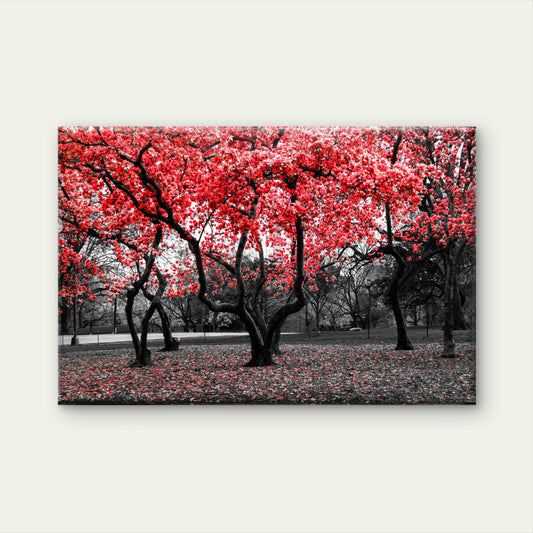 Red Flower Tree Black and White Forest Wall Art Decor 100% Australian Made
