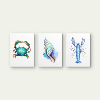 3pcs Coastal Blue Watercolor Crab Lobster Conch Wall Art Set Canvas Framed 40x60cm - High Quality Print 100% Australian Made Wall Canvas Ready to Hang - Bella Home Decor