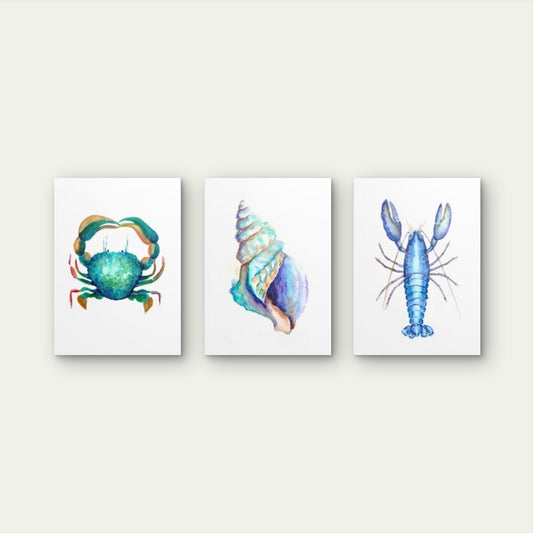 3pcs Coastal Blue Watercolor Crab Lobster Conch Wall Art Set Canvas Framed 40x60cm - High Quality Print 100% Australian Made Wall Canvas Ready to Hang - Bella Home Decor