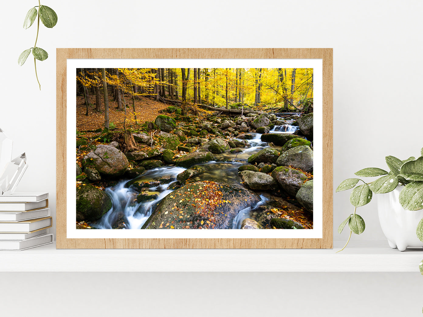 Autumn Forest With Rocky River Glass Framed Wall Art, Ready to Hang Quality Print With White Border Oak