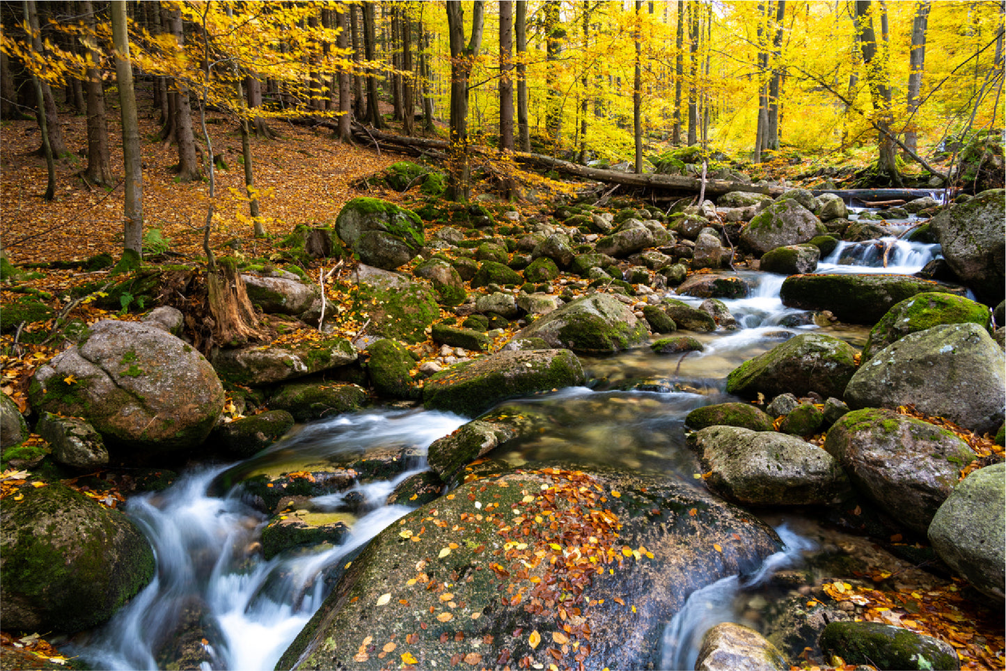 Autumn Forest With Rocky River Glass Framed Wall Art, Ready to Hang Quality Print