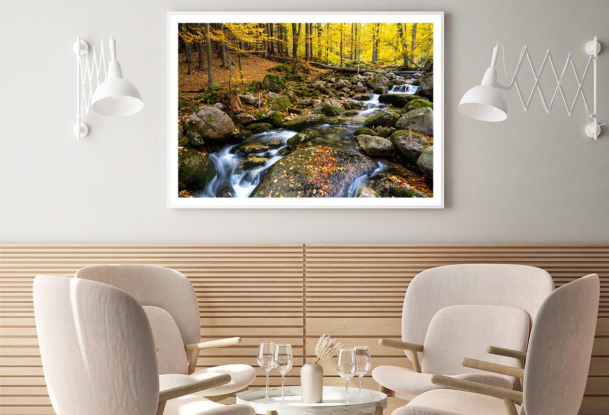 Autumn Forest With Rocky River Home Decor Premium Quality Poster Print Choose Your Sizes