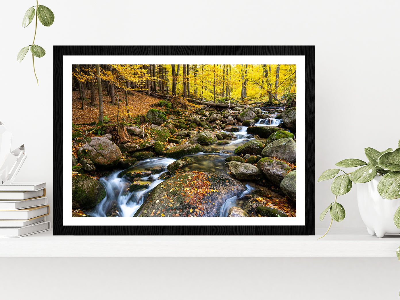 Autumn Forest With Rocky River Glass Framed Wall Art, Ready to Hang Quality Print With White Border Black