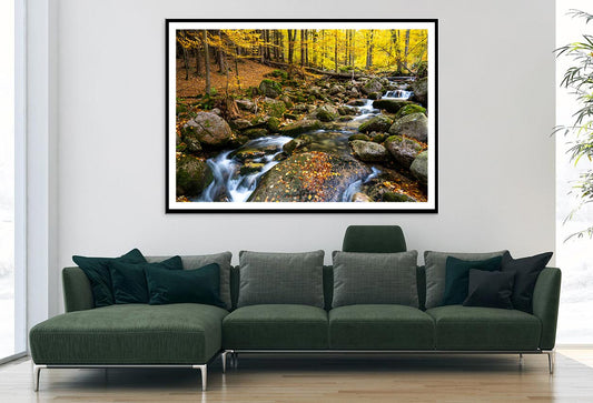 Autumn Forest With Rocky River Home Decor Premium Quality Poster Print Choose Your Sizes