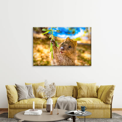 Quokka Rottnest Island Perth Western Australia Wall Art Decor 100% Australian Made