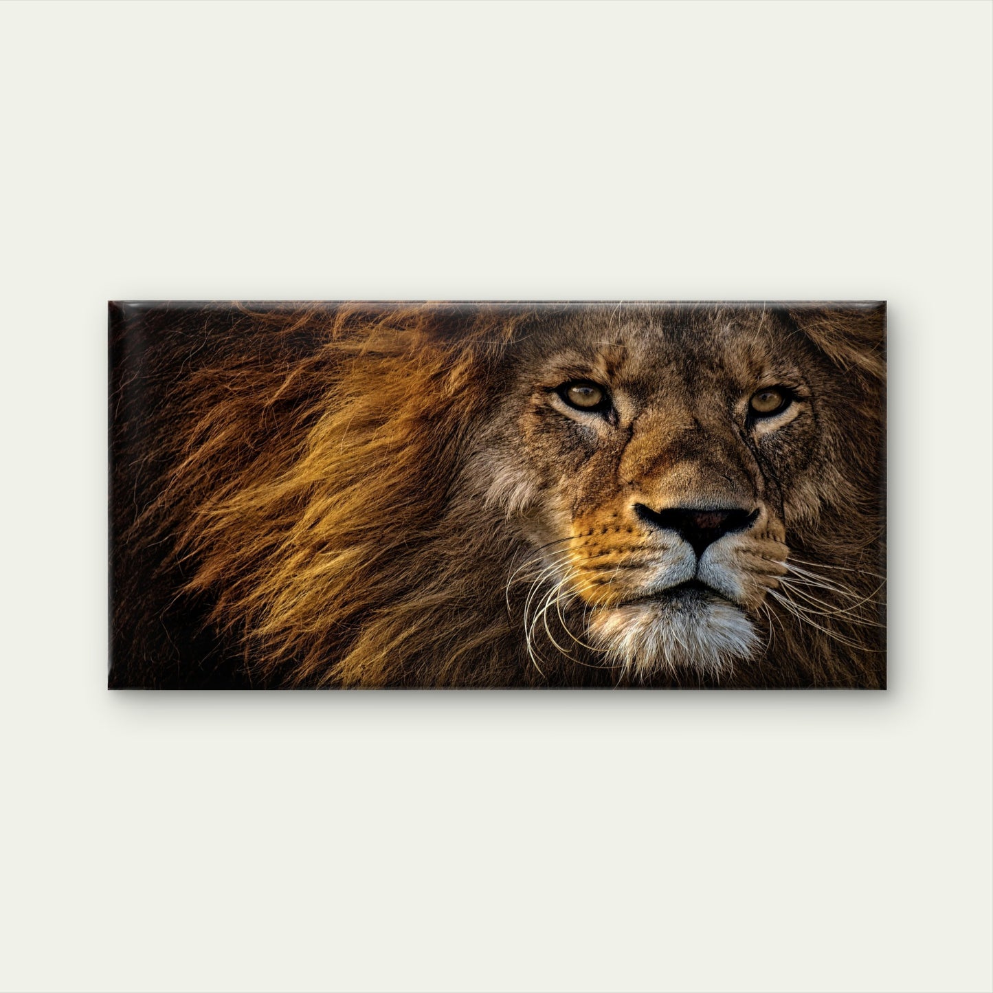 Majestic Golden Lion King Wall Art Canvas Office Home Room Framed 120x60cm