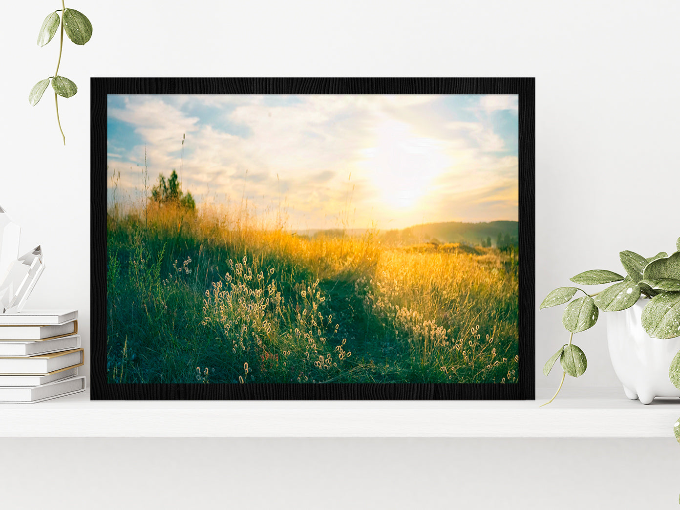 Blooming Wild Grass In Nature Glass Framed Wall Art, Ready to Hang Quality Print Without White Border Black