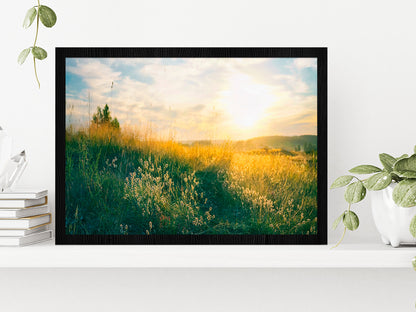 Blooming Wild Grass In Nature Glass Framed Wall Art, Ready to Hang Quality Print Without White Border Black