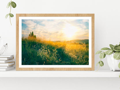 Blooming Wild Grass In Nature Glass Framed Wall Art, Ready to Hang Quality Print With White Border Oak