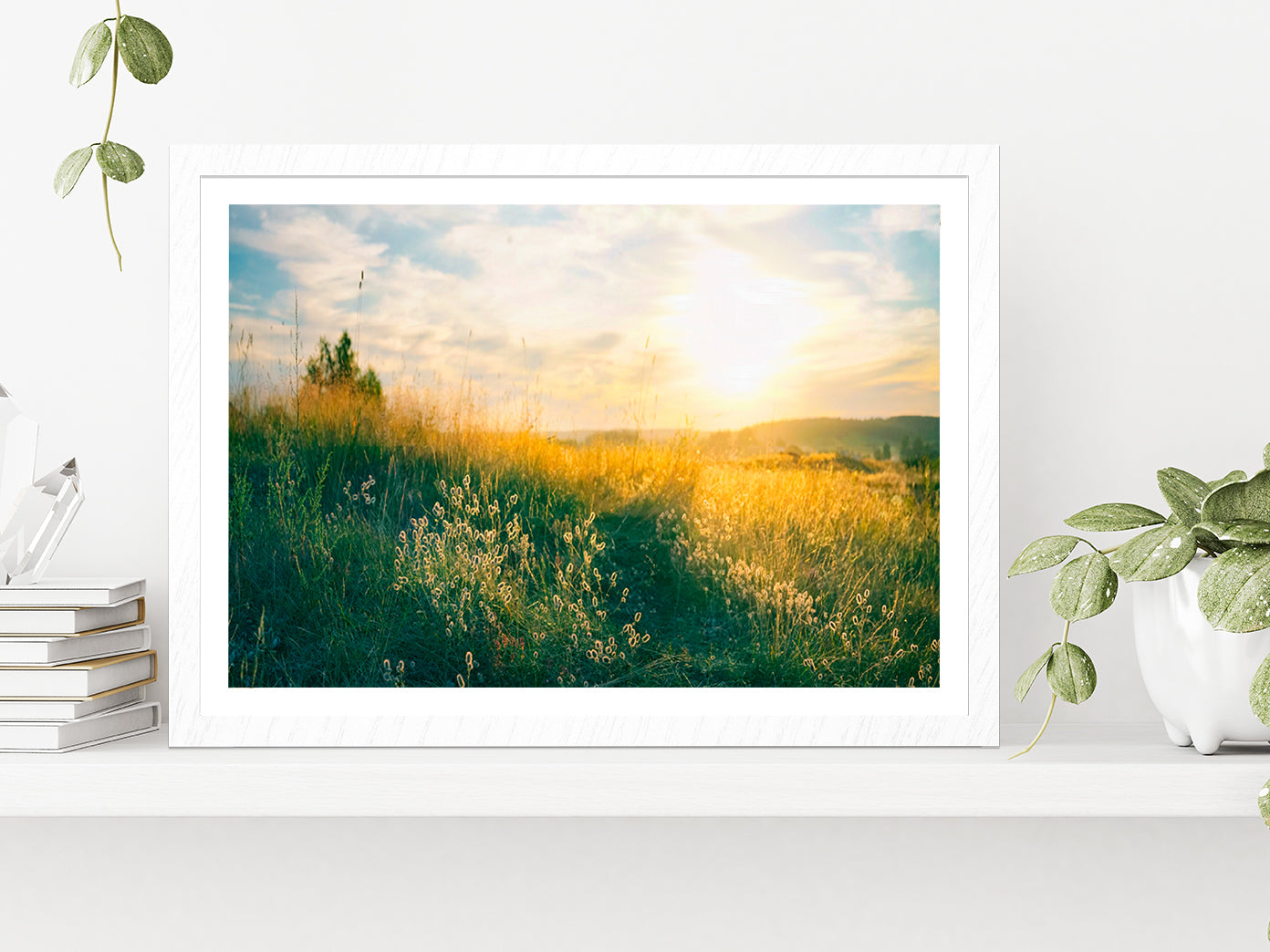 Blooming Wild Grass In Nature Glass Framed Wall Art, Ready to Hang Quality Print With White Border White
