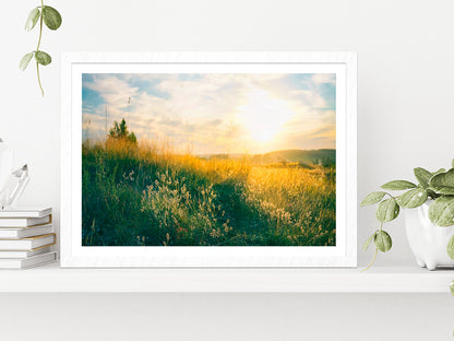 Blooming Wild Grass In Nature Glass Framed Wall Art, Ready to Hang Quality Print With White Border White