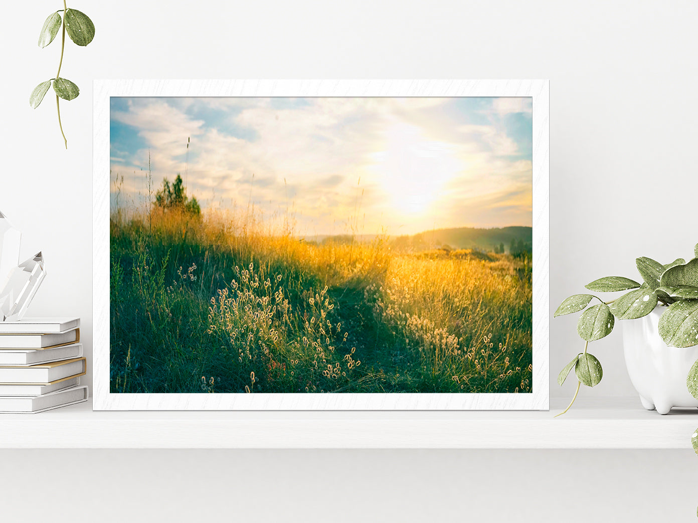 Blooming Wild Grass In Nature Glass Framed Wall Art, Ready to Hang Quality Print Without White Border White