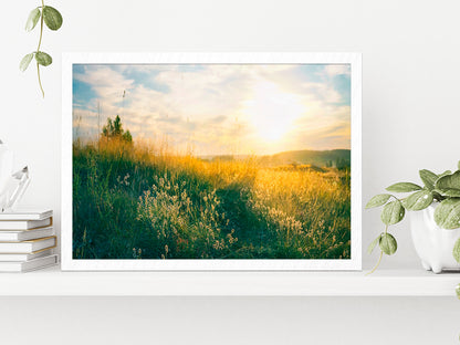 Blooming Wild Grass In Nature Glass Framed Wall Art, Ready to Hang Quality Print Without White Border White
