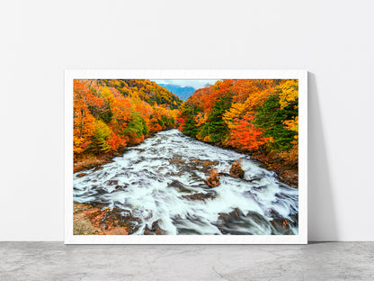 Yukawa River In Autumn Forest Glass Framed Wall Art, Ready to Hang Quality Print Without White Border White