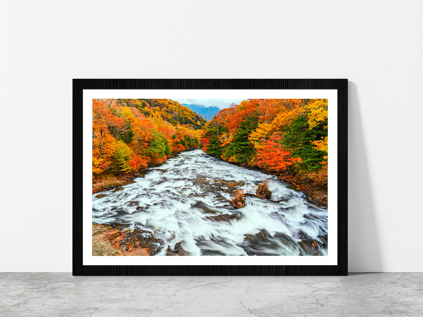 Yukawa River In Autumn Forest Glass Framed Wall Art, Ready to Hang Quality Print With White Border Black