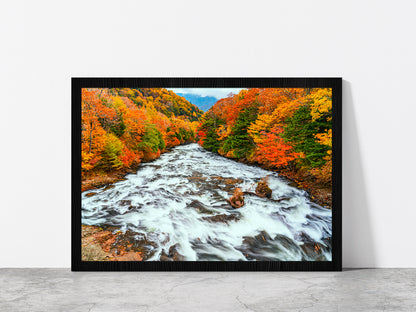 Yukawa River In Autumn Forest Glass Framed Wall Art, Ready to Hang Quality Print Without White Border Black